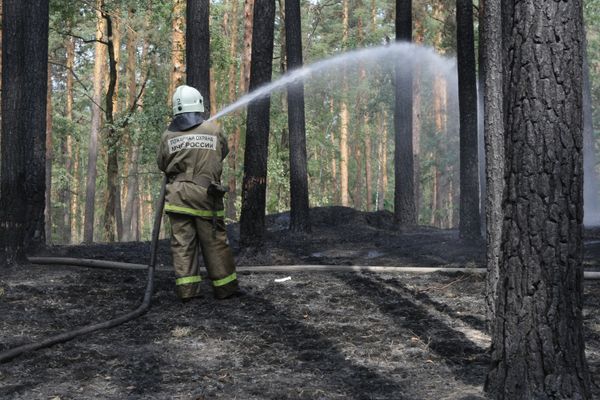 Wildfires in Russia - Sputnik International