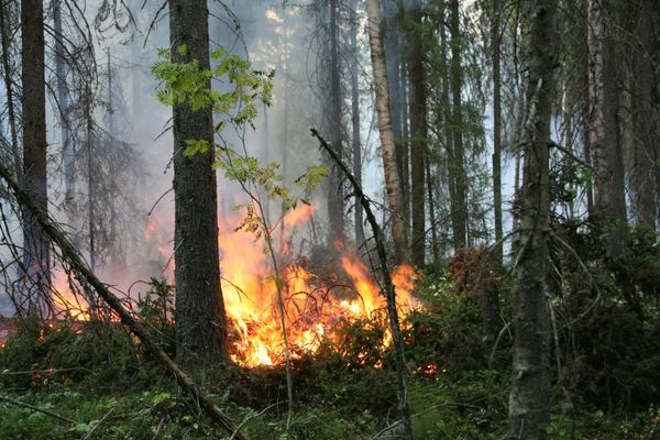 Number of hotspots in Russia falls to 377 - Sputnik International