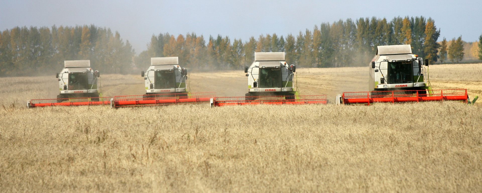 Wheat harvesting in Russia - Sputnik International, 1920, 01.12.2023