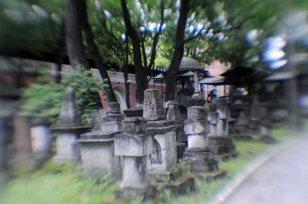 There are currently 71 cemeteries in Moscow covering an area of over 1.8 hectares. - Sputnik International