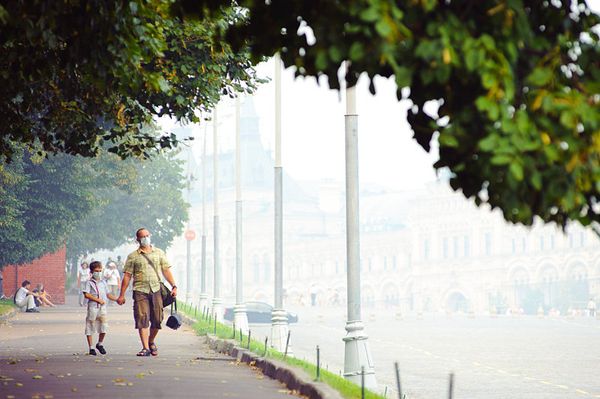 Moscow smog from wildfires eases, gives temporary relief for residents - Sputnik International