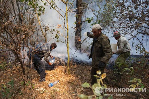 Fighting wildfires in the Moscow and Ryazan Regions - Sputnik International