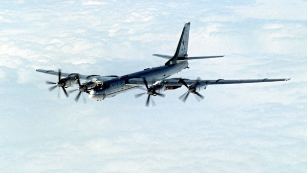 Tu-95MS “Bear” strategic bomber - Sputnik International