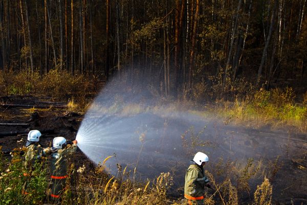 Wildfires - Sputnik International