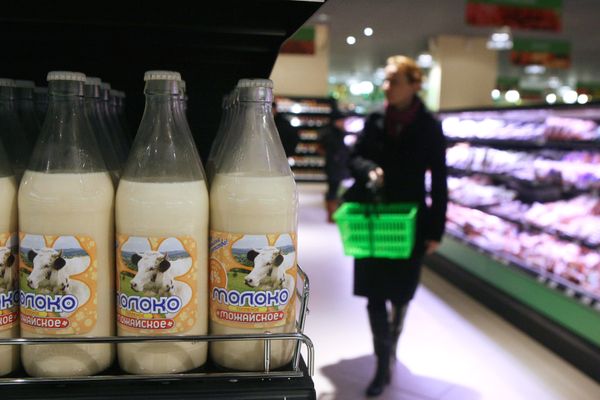 dairy products dairy products - Sputnik International