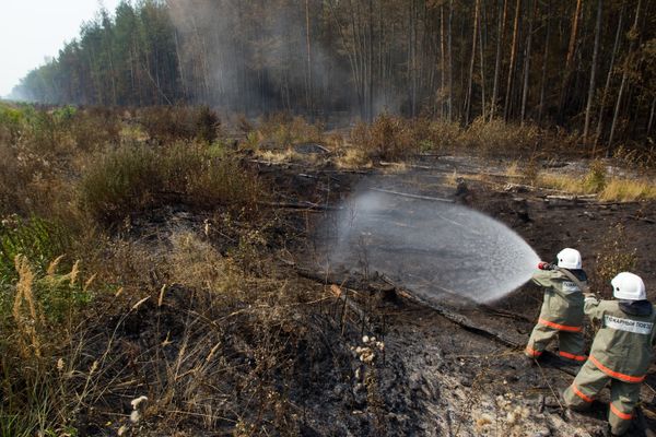 Russian wildfires Russian wildfires - Sputnik International
