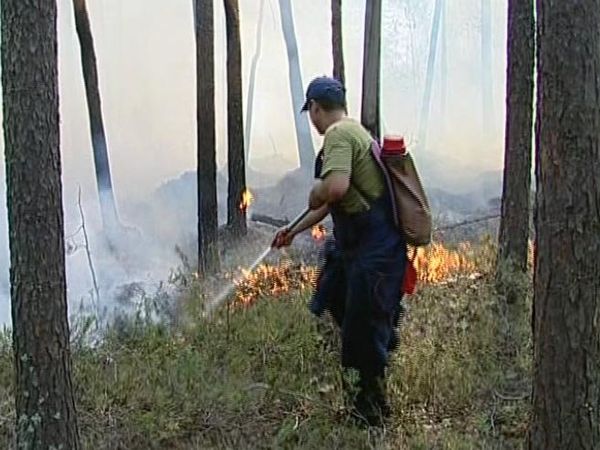 Guest workers, monks and foresters are putting out fires in Sverdlovsk Region - Sputnik International