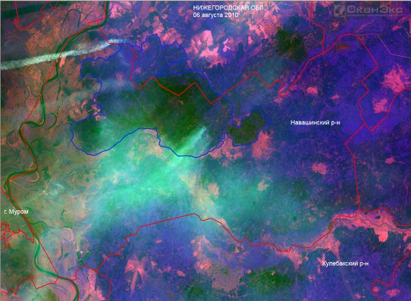 NASA satellites register 371 hotspots in Russia - Sputnik International