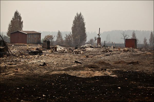 Medvedev calls for land allowance for wild fire victims  - Sputnik International