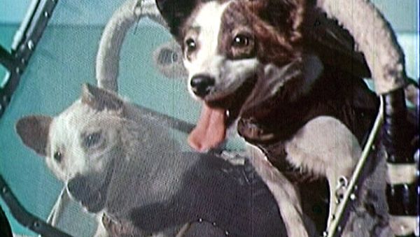 Belka and Strelka trained for spaceflight for almost a year - Sputnik International