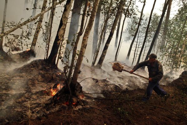 Over 60,000 hectares of peat bogs to be flooded near Moscow - Sputnik International