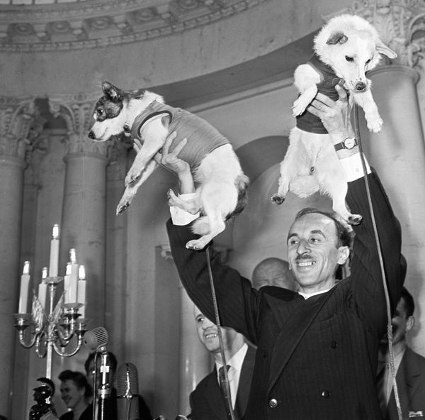 Belka and Strelka - Sputnik International