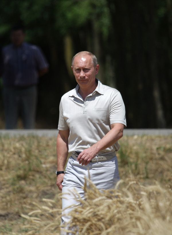 Russian Prime Minister Vladimir Putin - Sputnik International