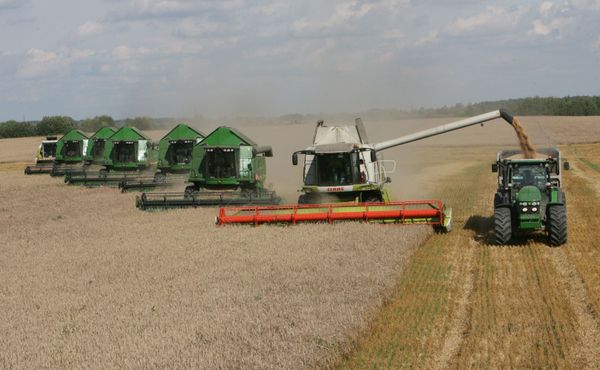 Russia's agricultural output may fall 10 pct this year Russia's agricultural output may fall 10 pct this year - Sputnik International