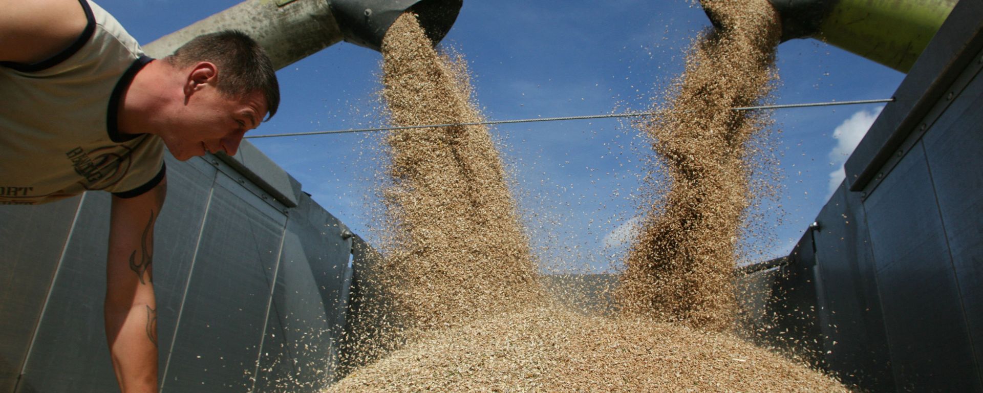 Russian wheat Russian wheat - Sputnik International, 1920, 05.08.2022