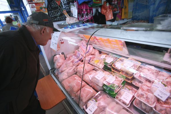 U.S. guarantees safety of poultry exports to Russia - Sputnik International
