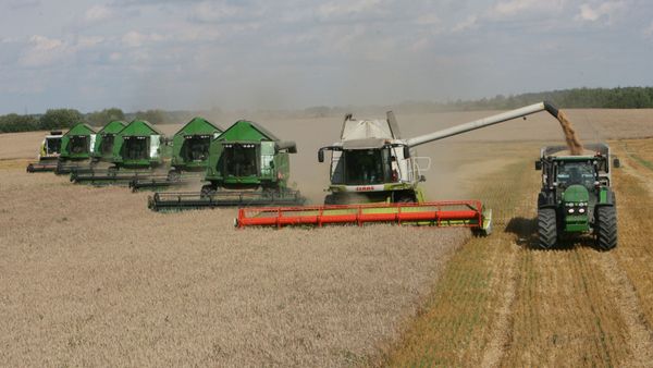 A record-breaking drought saw Ukraine's harvest forecasts falling from 47-48 million tons to 42-43 million tons. - Sputnik International