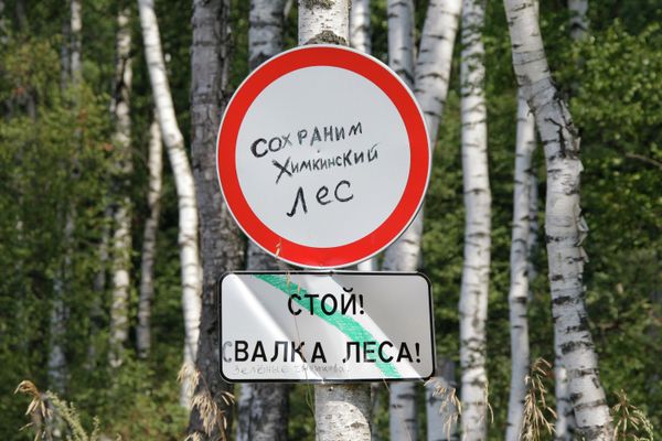 The construction of the Moscow-St. Petersburg highway and the planned destruction of a section of the Khimki forest, part of Moscow's so-called greenbelt, has seen a large-scale grassroots protest movement spring up in Russia. - Sputnik International