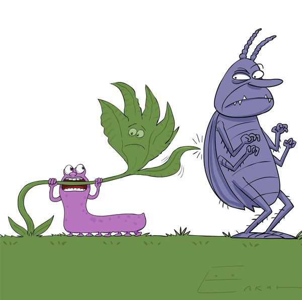 Struggle of tobacco plants and caterpillars  - Sputnik International