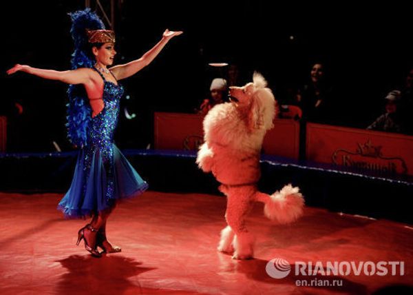 Trials and tribulations of a Russian traveling circus Trials and tribulations of a Russian traveling circus - Sputnik International