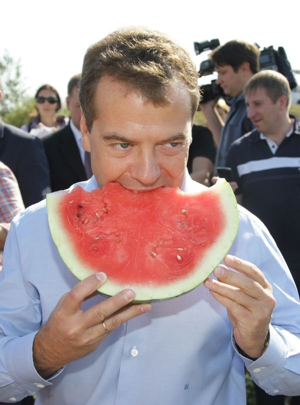 Dmitry Medvedev in stores and fields of Orenburg Region - Sputnik International