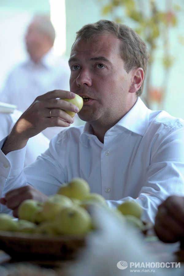 Dmitry Medvedev in stores and fields of Orenburg Region - Sputnik International