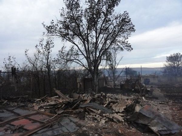 Consequences of wildfires in Russia’s Volgograd Region - Sputnik International