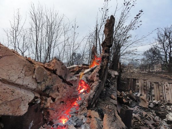 Consequences of wildfires in Russia’s Volgograd Region - Sputnik International