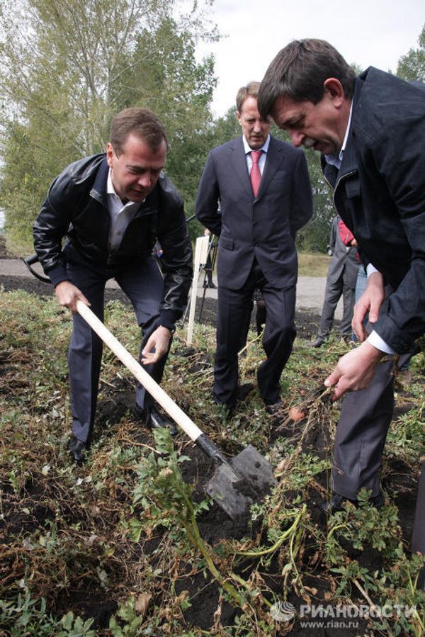 Dmitry Medvedev in potato fields Dmitry Medvedev in potato fields - Sputnik International