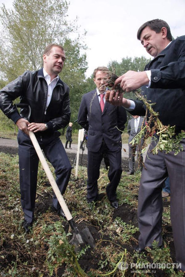 Dmitry Medvedev in potato fields Dmitry Medvedev in potato fields - Sputnik International