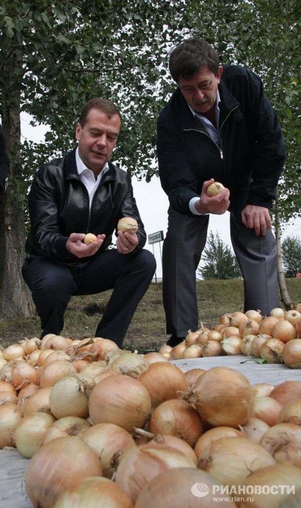 Dmitry Medvedev in potato fields Dmitry Medvedev in potato fields - Sputnik International