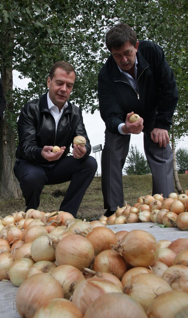 Dmitry Medvedev in potato fields - Sputnik International