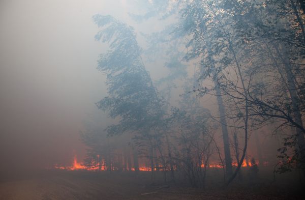 Firefighters put out 3 forest fires in Russia's Far East in past 24 hours - Sputnik International