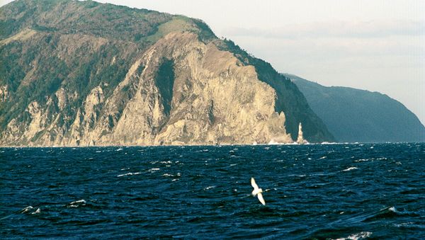 The incident reportedly took place late on Tuesday near the island of Moneron, some 40 kilometers (25 miles) from Sakhalin - Sputnik International