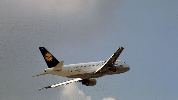 Germany's airline Lufthansa said Sunday it would have to ground some 1,450 flights over the pilots union strike - Sputnik International
