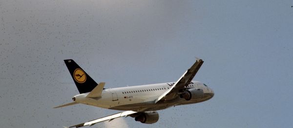 Germany's airline Lufthansa said Sunday it would have to ground some 1,450 flights over the pilots union strike - Sputnik International