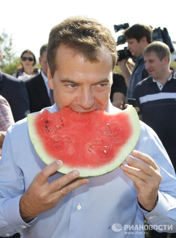 Dmitry Medvedev’s Summer 2010 Dmitry Medvedev’s Summer 2010 - Sputnik International
