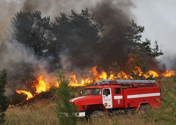 Forest and peat bog fires raged in European Russia in July-August. - Sputnik International