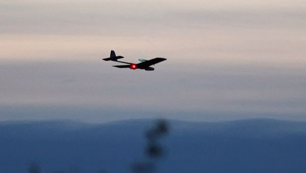 Unmanned aerial vehicle (UAV) - Sputnik International