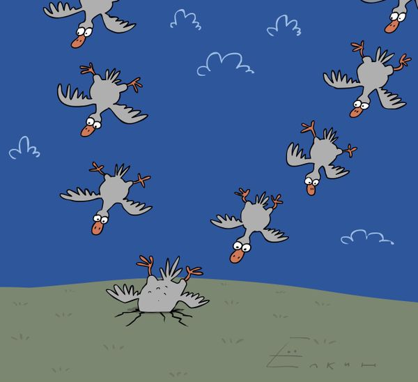 Effect of collective landing - Sputnik International