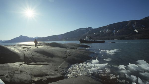 Svalbard archipelago - Sputnik International