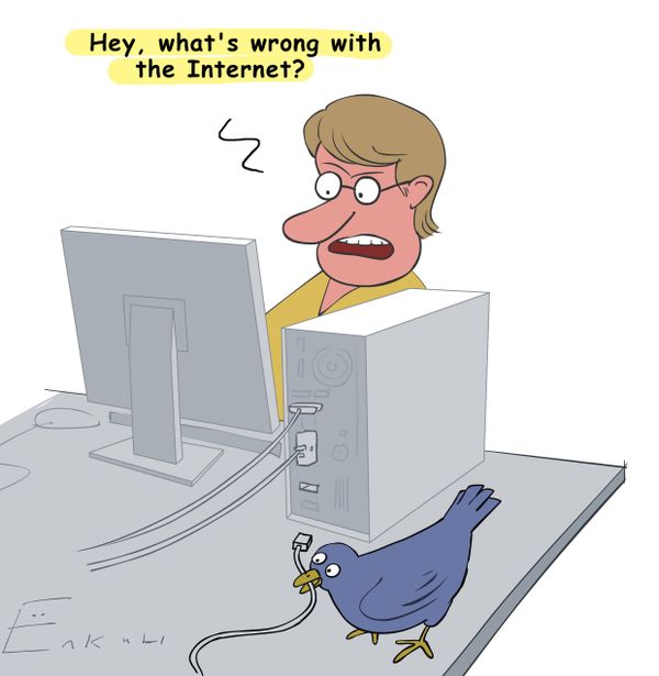 Carrier pigeons faster than Internet  - Sputnik International