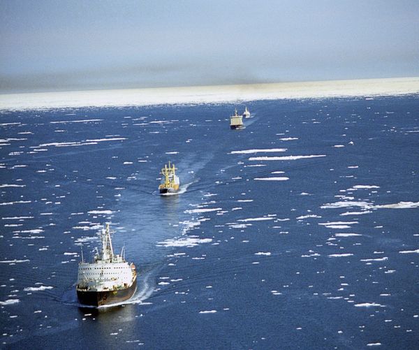 The Northern Sea Route: An Arctic lifeline The Northern Sea Route: An Arctic lifeline - Sputnik International
