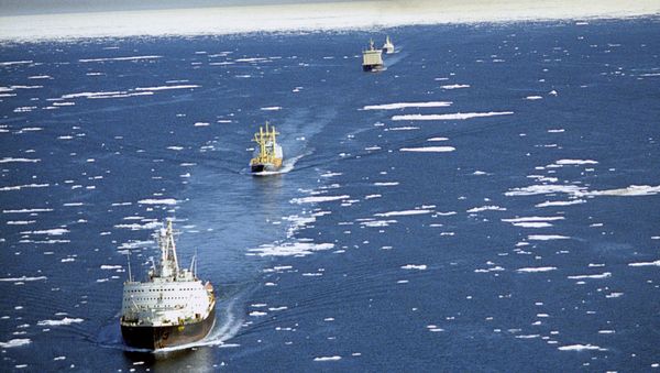 The Northern Sea Route: An Arctic lifeline - Sputnik International