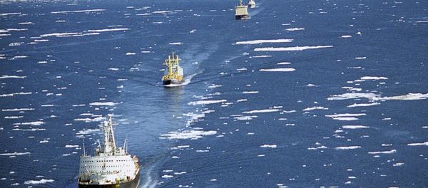 The Northern Sea Route: An Arctic lifeline The Northern Sea Route: An Arctic lifeline - Sputnik International