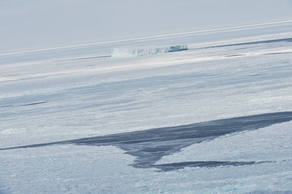 Arctic valuable to world, not just polar states - Russian expert - Sputnik International