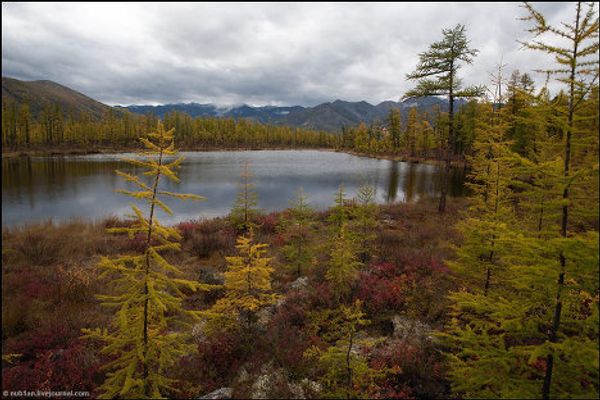 Trip to Baikal, from Bratsk hydroelectric power station to wild places  - Sputnik International