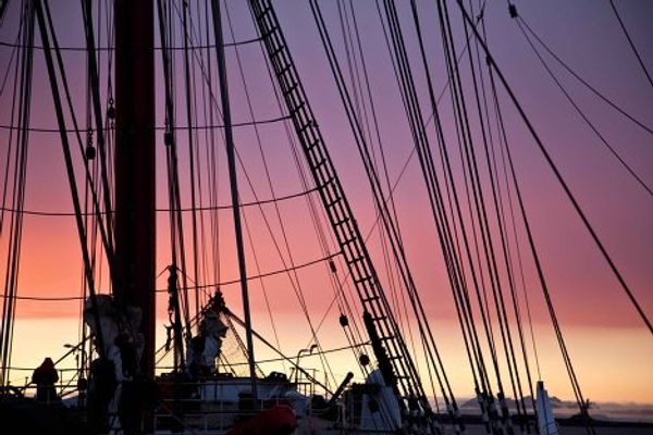 Arctic breakthrough: Expedition of sailing ship Sedov sets new record  - Sputnik International