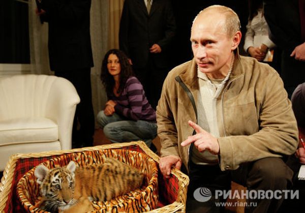 The All-Around Premier Vladimir Putin The All-Around Premier Vladimir Putin - Sputnik International
