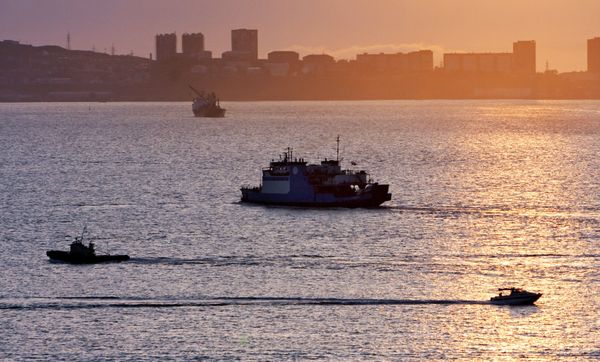 View of Vladivostok - Sputnik International